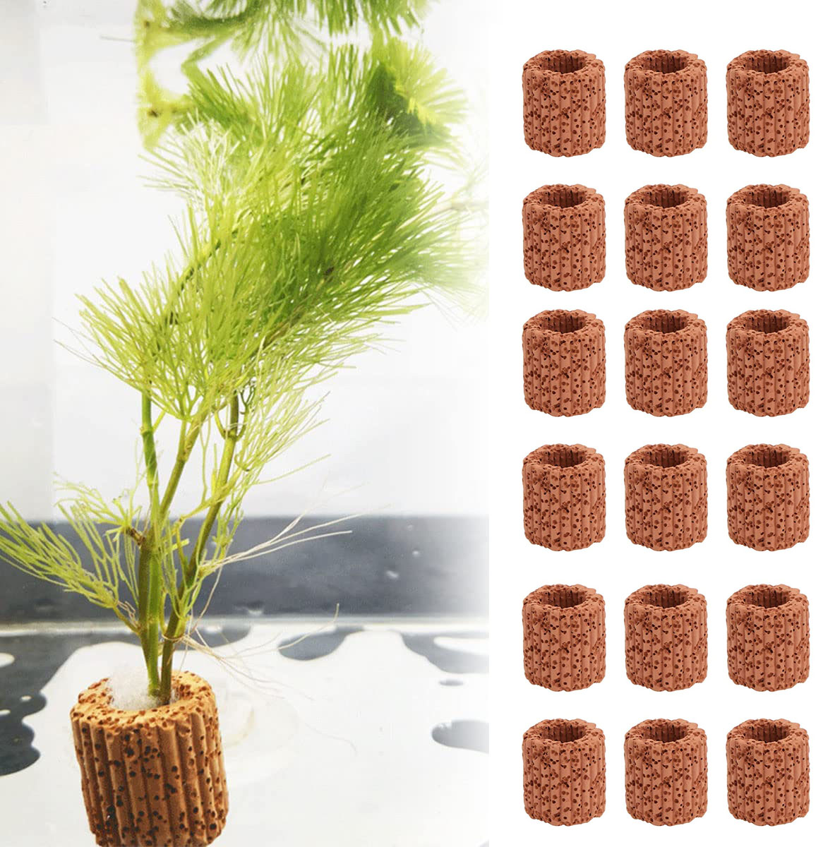 Aquarium Fish Pot - 10/20Pcs Aquatic Water Plant Fixed Ring