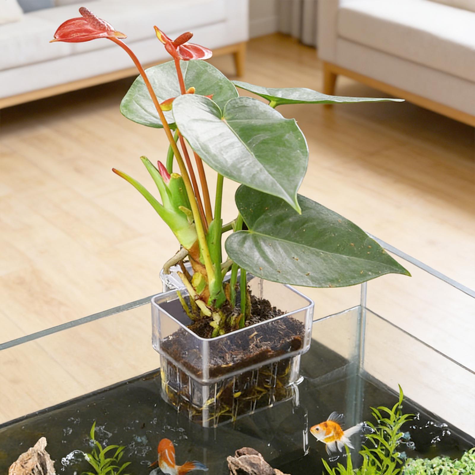 Aquarium Fish Pot - Aquarium Plant Basket Transparent Fish Tank