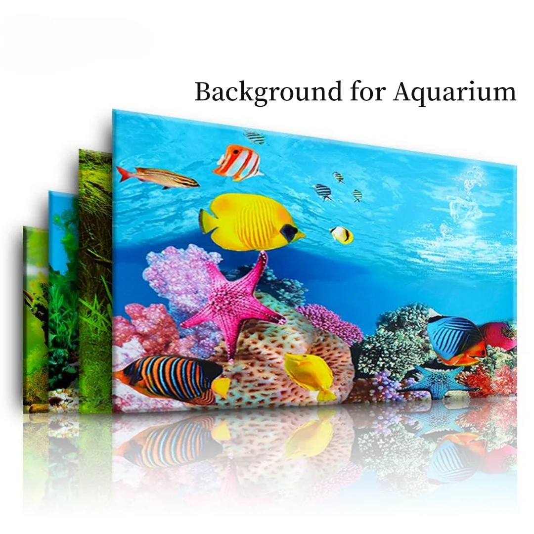 Aquarium Fish Cichlid - Background Aquarium 3D Sticker Poster Decoration