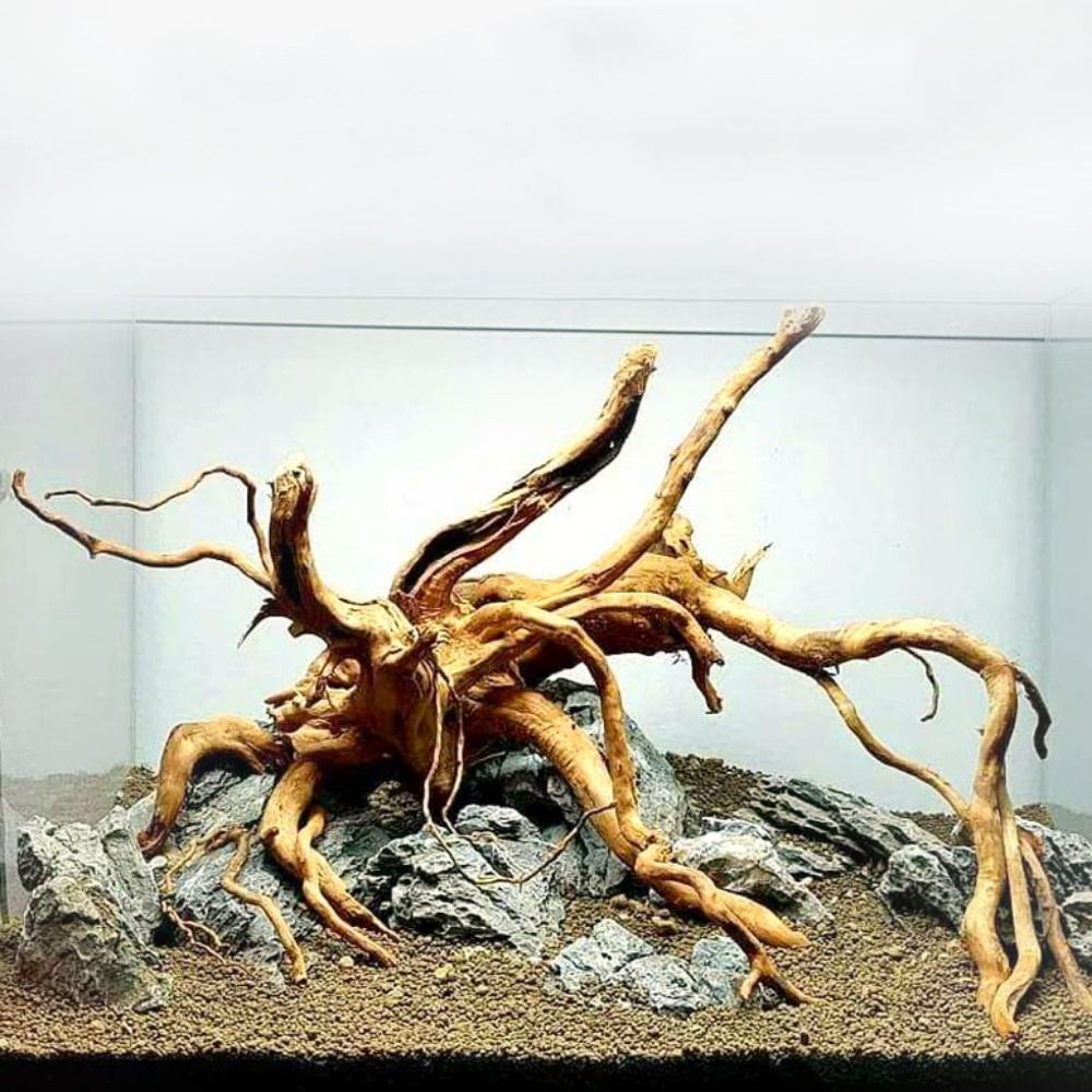 Aquarium Fish Cichlid - Natural Tree Trunk Aquarium Decoration Wood