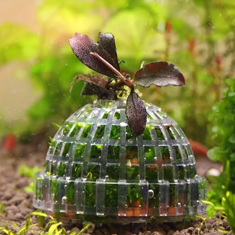 Plastic Aquarium Moss Ball Fil - огляд і ціна Aquarium Fish Cichlid