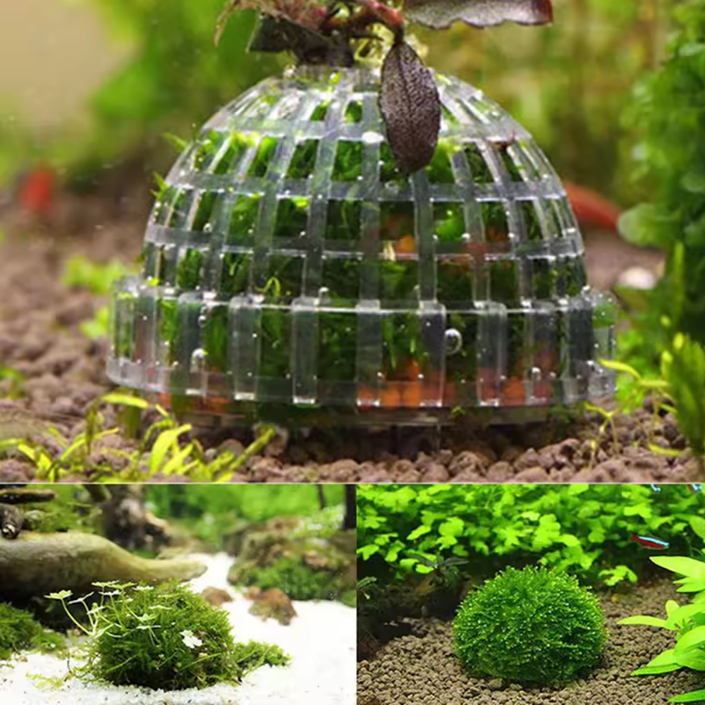 Plastic Aquarium Moss Ball Fil - огляд і ціна Aquarium Fish Cichlid