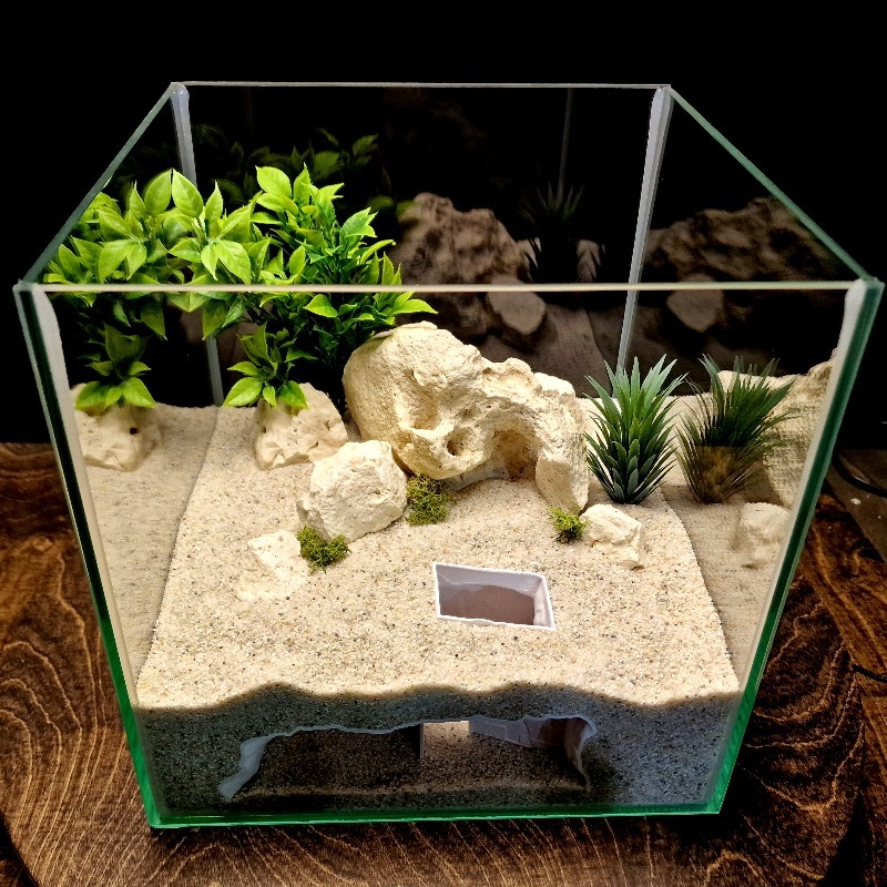 3D Printed Secret House Fish T - огляд і ціна Aquarium Fish Cichlid