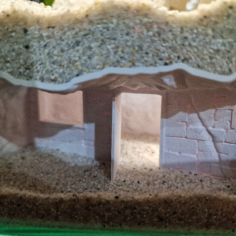 3D Printed Secret House Fish T - огляд і ціна Aquarium Fish Cichlid