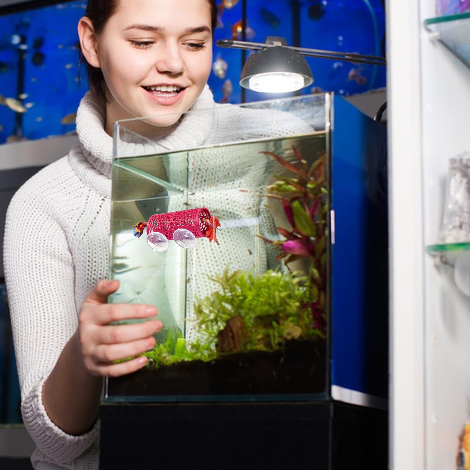 Betta Habitat Resting Shelter  - огляд і ціна Aquarium Fish Cichlid