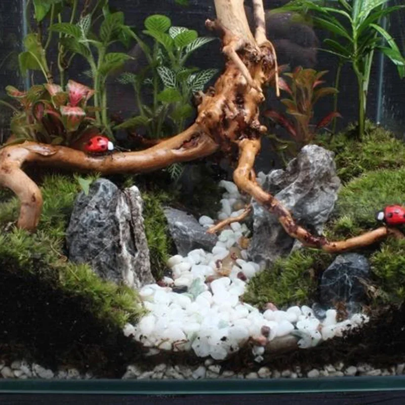 Natural Tree Trunk Driftwood A - огляд і ціна Aquarium Fish Cichlid