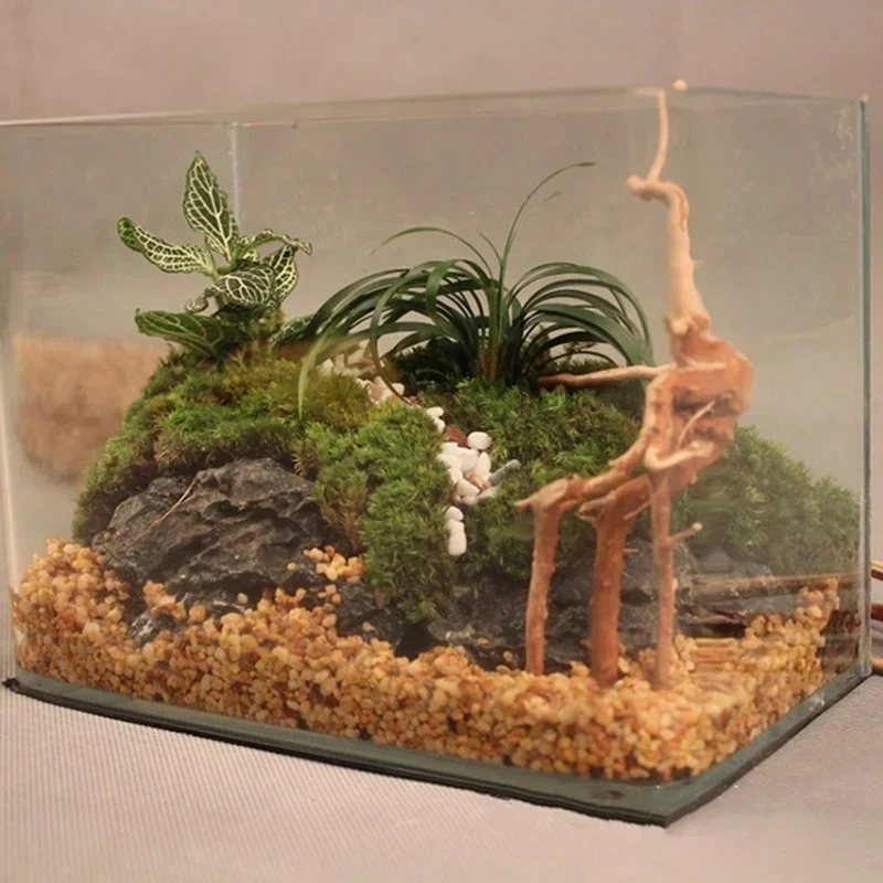 Natural Tree Trunk Driftwood A - огляд і ціна Aquarium Fish Cichlid