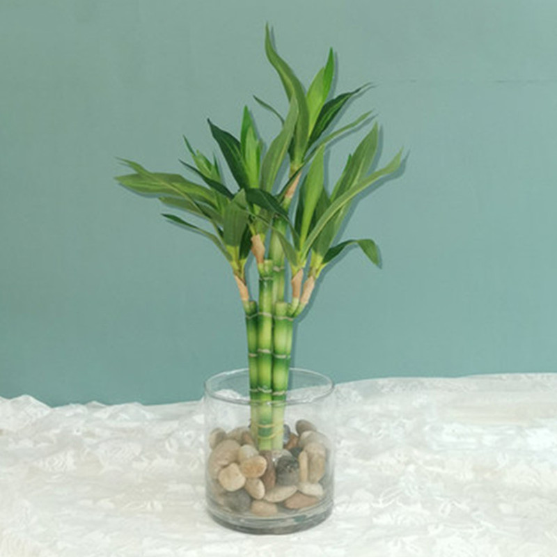 New 40cm rFtificial Lucky Bamb - огляд і ціна Aquarium Fish Pot