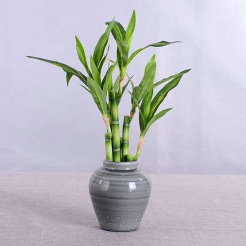 New 40cm rFtificial Lucky Bamb - огляд і ціна Aquarium Fish Pot