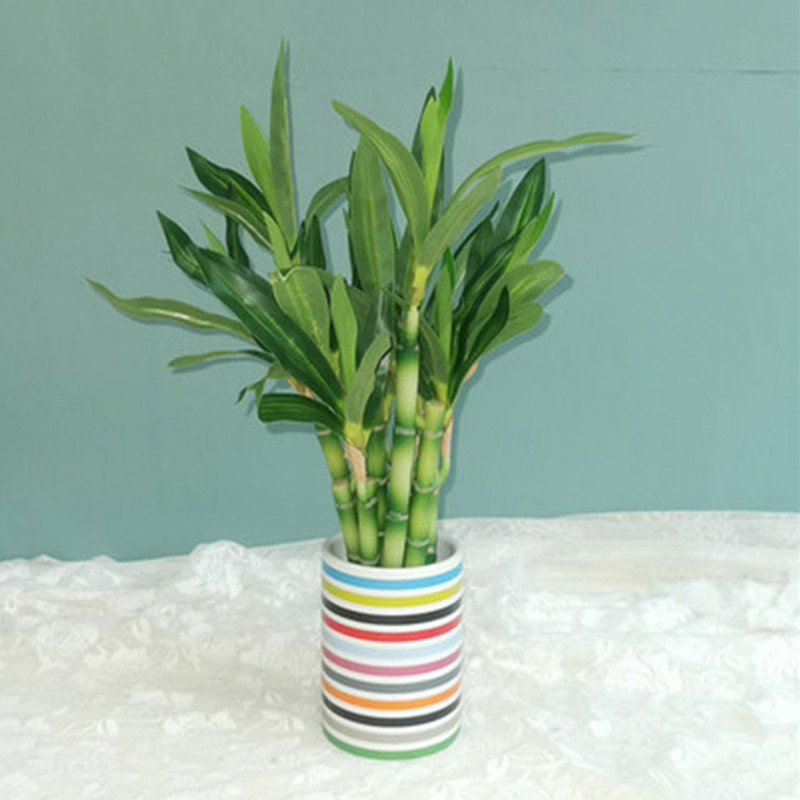 New 40cm rFtificial Lucky Bamb - огляд і ціна Aquarium Fish Pot