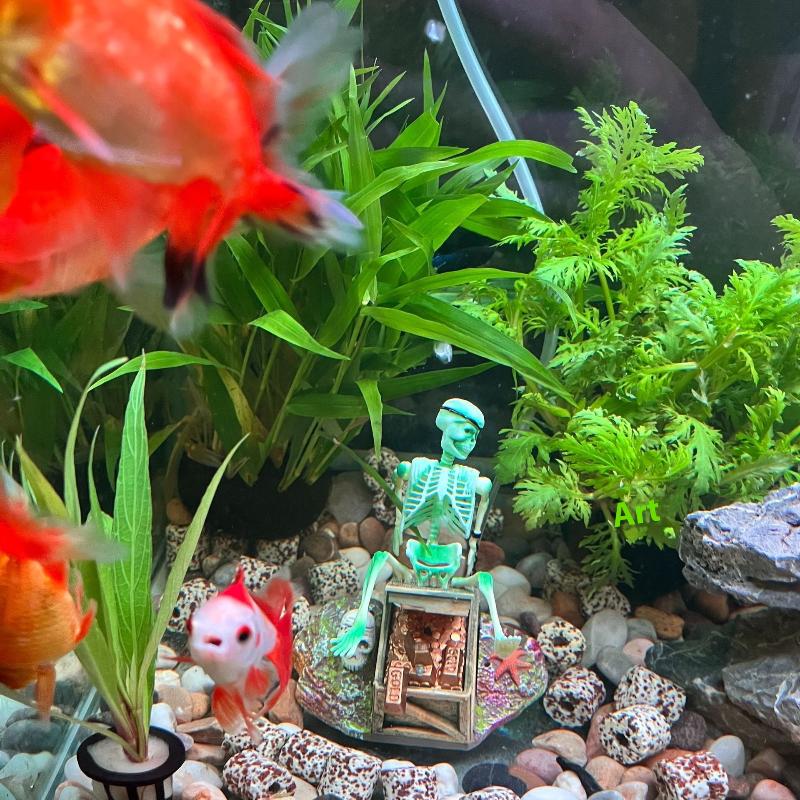 Fish Tank Aerobic Landscape Bu - огляд і ціна Aquarium Fish Cichlid