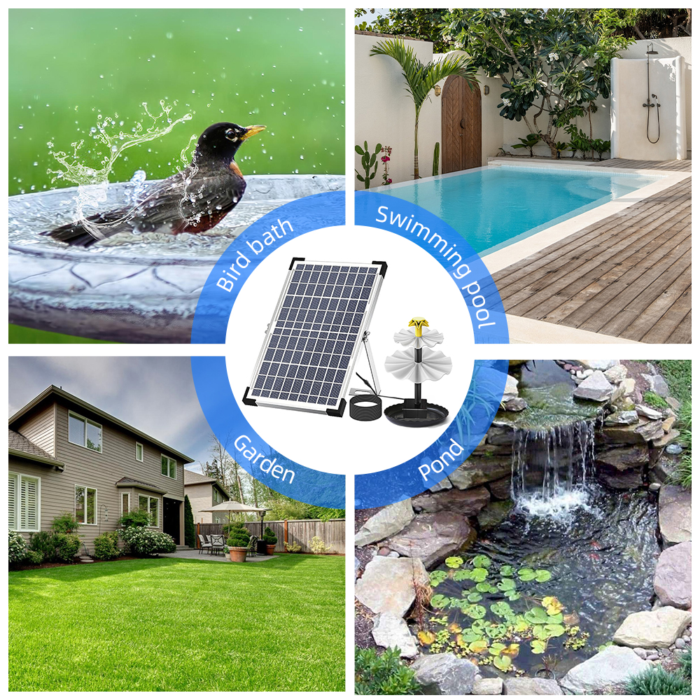 Solar Fountain Pump for Bird B - огляд і ціна Aquarium Fish Light