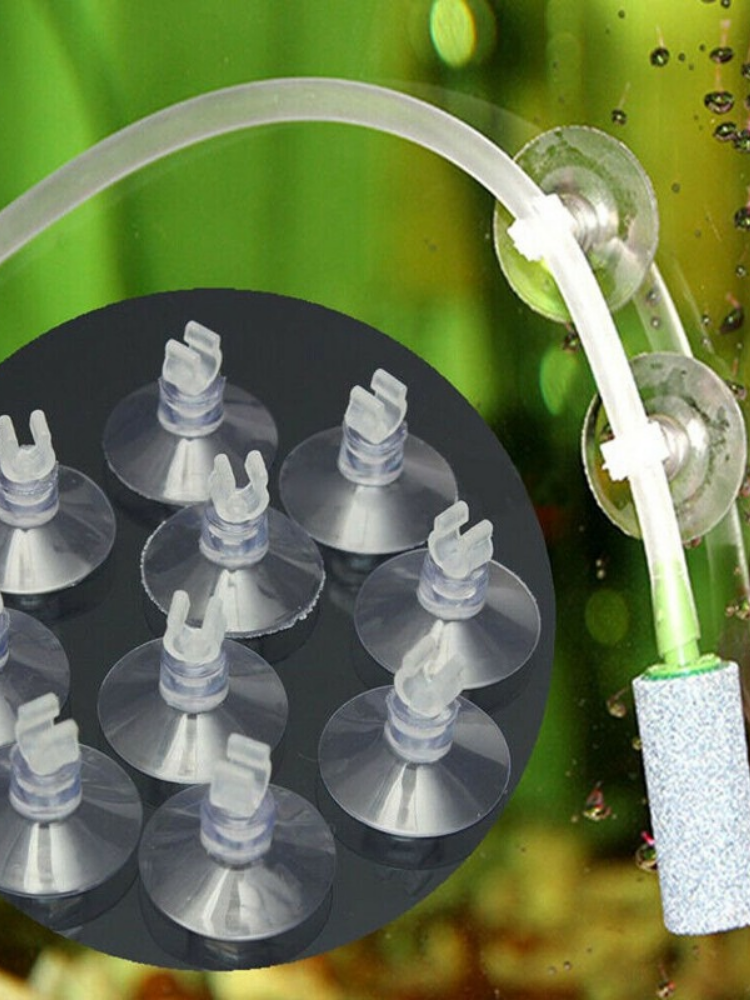 10pcs/Lot Plastic Aquarium Suc - огляд і ціна Aquarium Fish Youtube