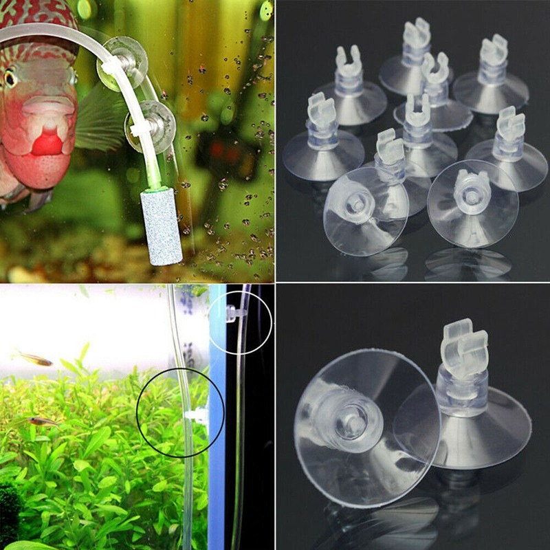 10pcs/Lot Plastic Aquarium Suc - огляд і ціна Aquarium Fish Youtube