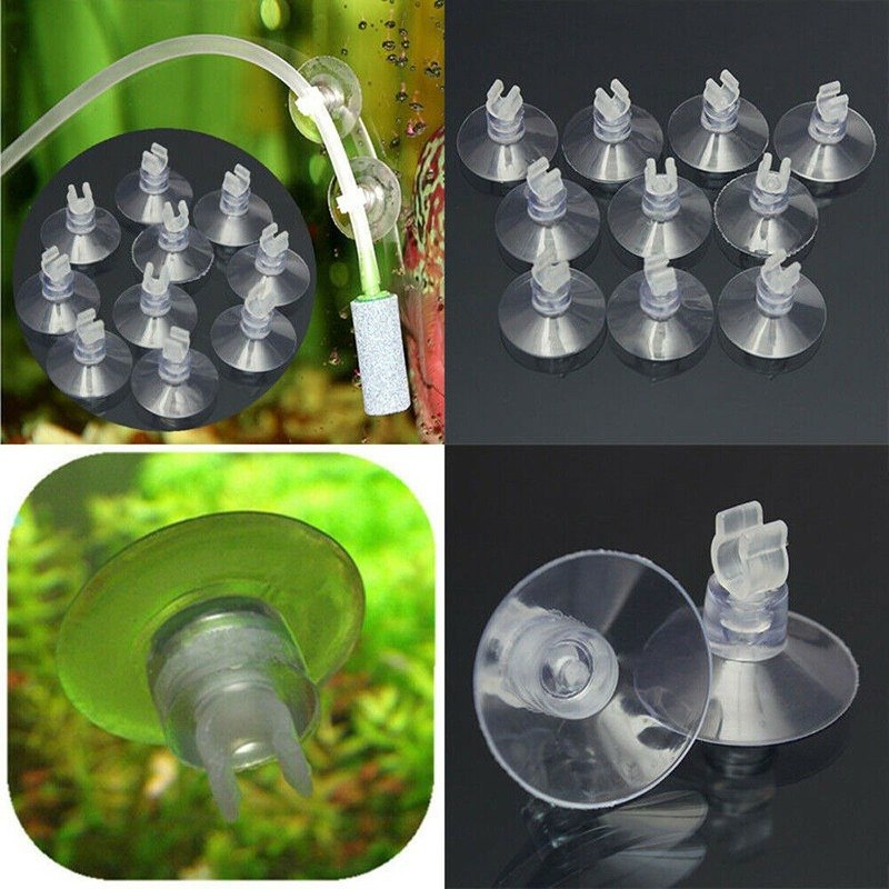 10pcs/Lot Plastic Aquarium Suc - огляд і ціна Aquarium Fish Youtube