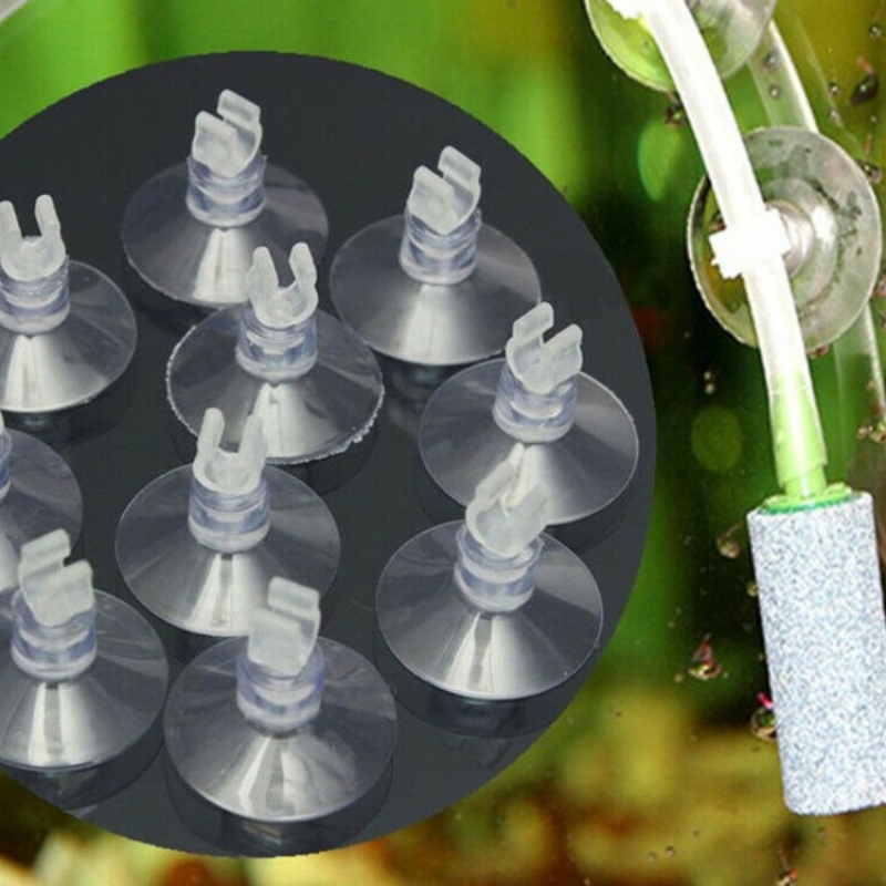 10pcs/Lot Plastic Aquarium Suc - огляд і ціна Aquarium Fish Youtube