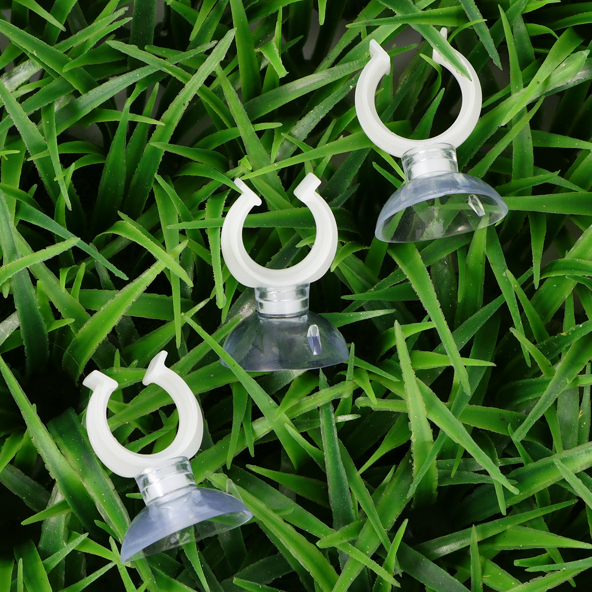 10Pcs Fish Tank Strong Transpa - огляд і ціна Aquarium Fish Youtube