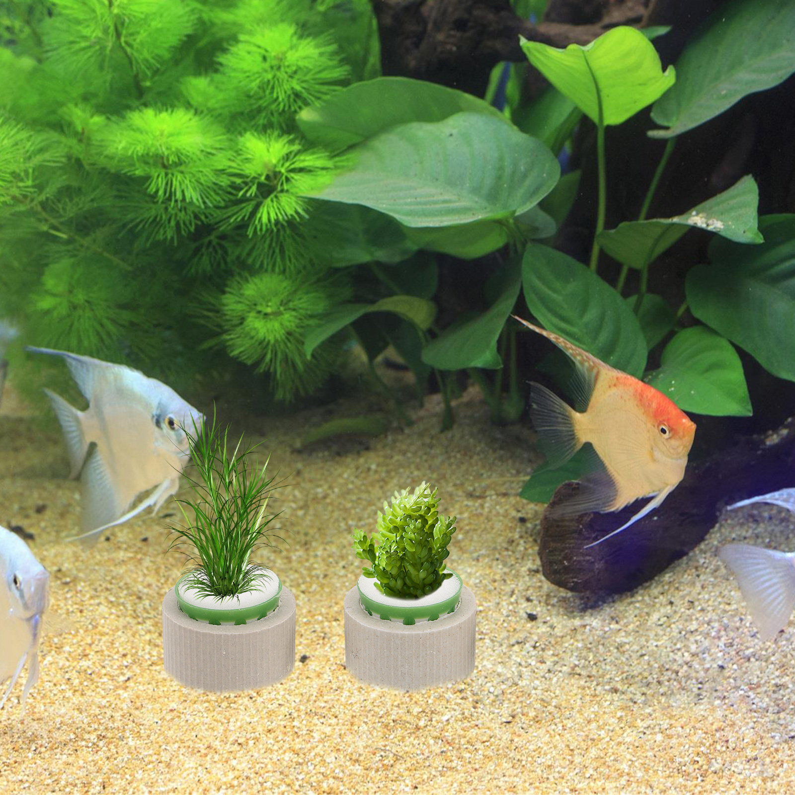9Pcs Aquatic Plant Holder Cera - огляд і ціна Aquarium Fish Cichlid
