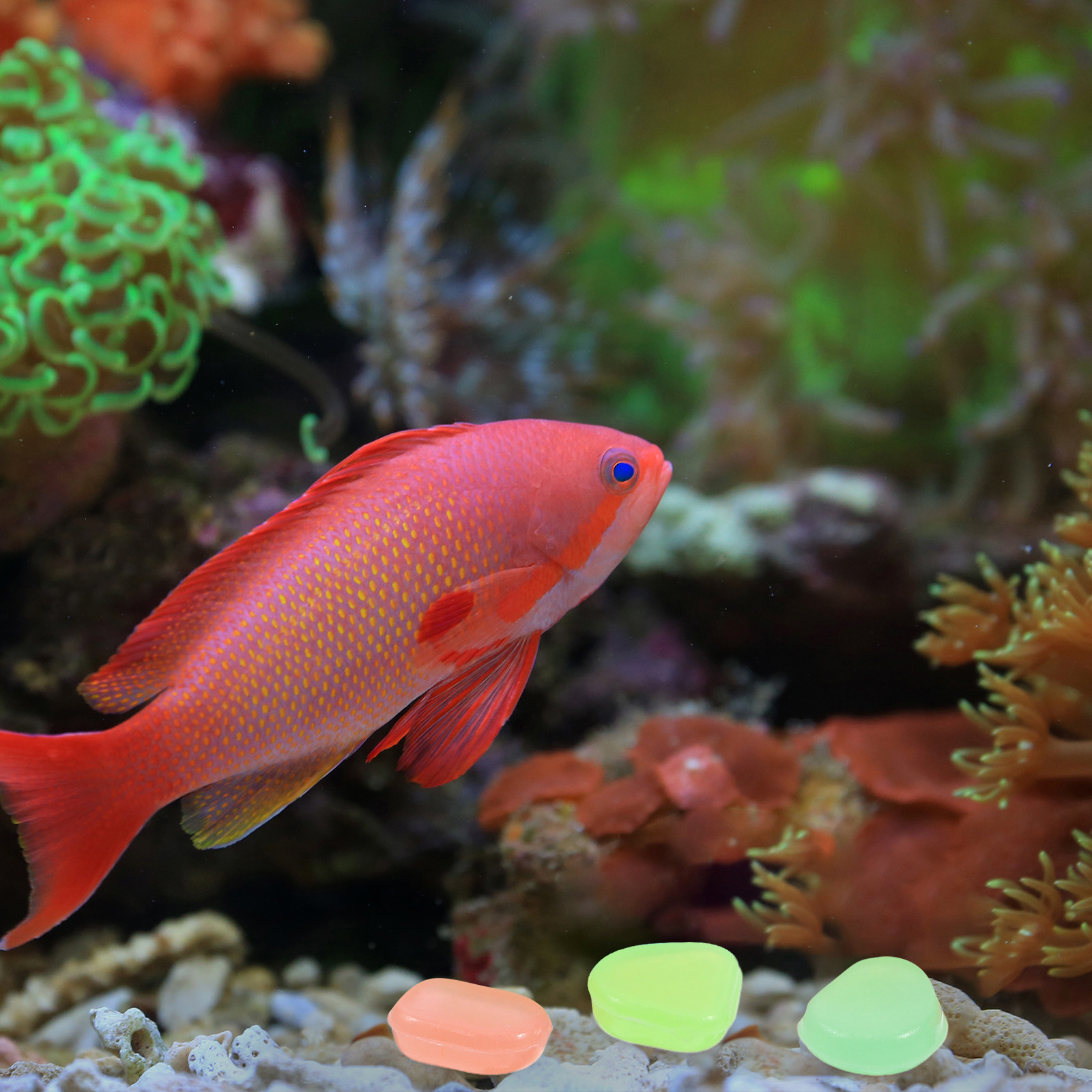 400Pcs Glow in The Dark Pebble - огляд і ціна Aquarium Fish Light