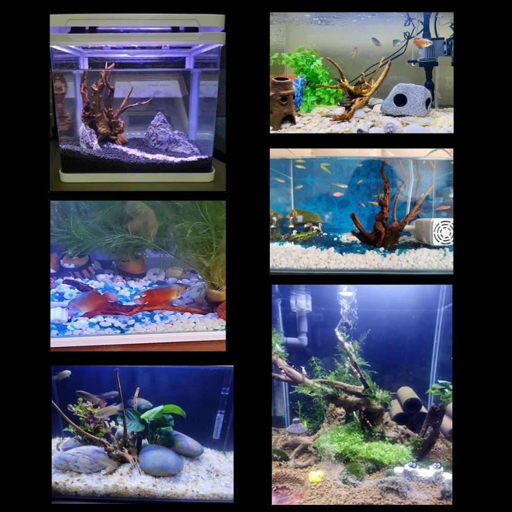 Natural Tree Trunk Aquarium De - огляд і ціна Aquarium Fish Cichlid