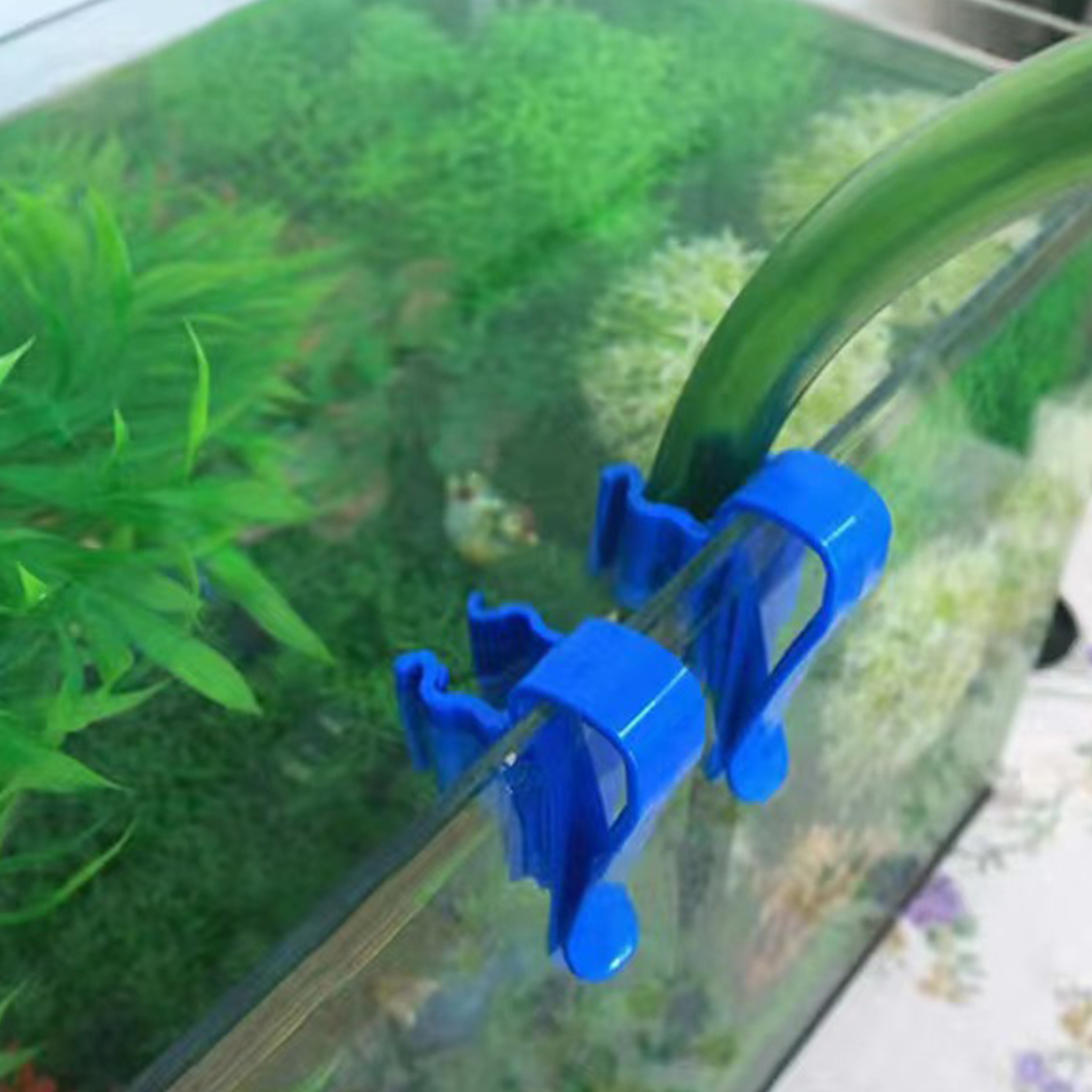 Aquarium Tube Holder Clip Fish - огляд і ціна Aquarium Fish Youtube