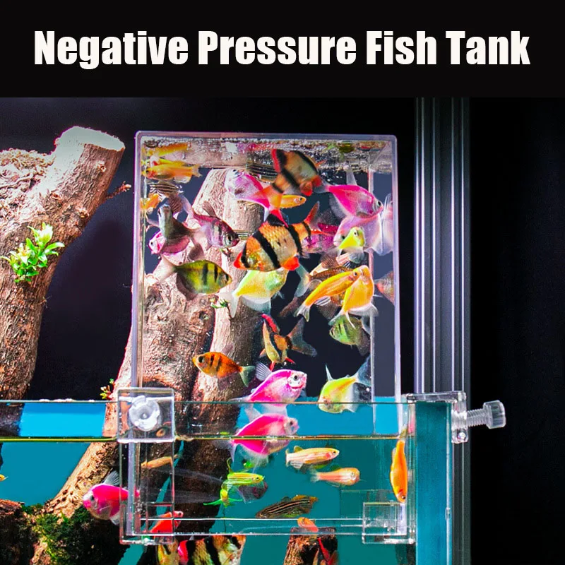 Creative Aquarium Tanks Negati - огляд і ціна Aquarium Fish Pot