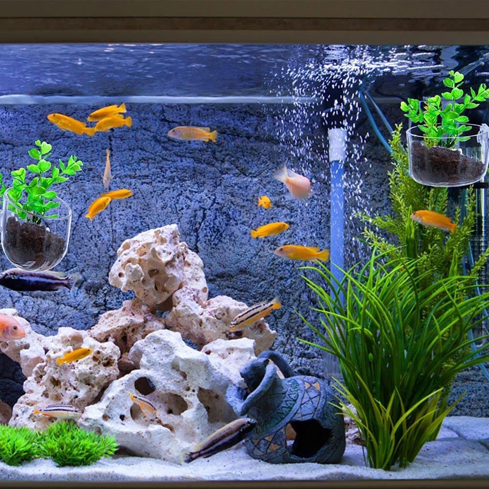 Aquatic Plant Pot Clear Acryli - огляд і ціна Aquarium Fish Pot