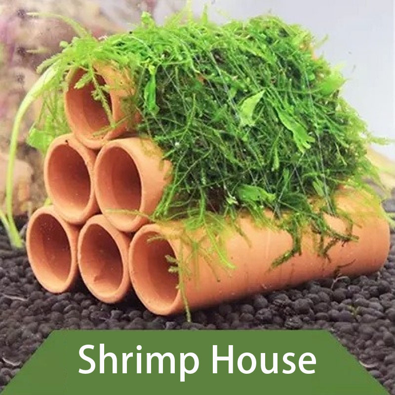 Clay Aquarium Decoration Fish  - огляд і ціна Aquarium Fish Cichlid