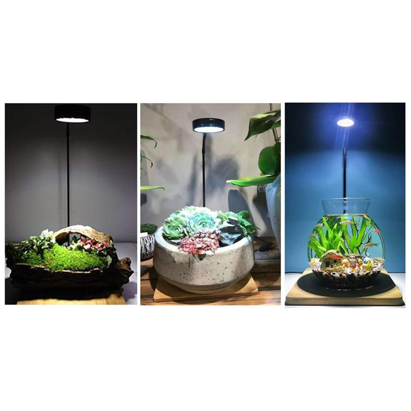 AB45 LED Aquarium Fish Tank Li - огляд і ціна Aquarium Fish Pot
