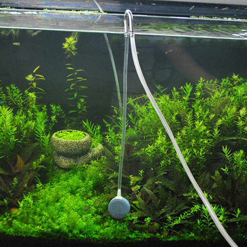 Aquarium CO2 regulator diffuse - огляд і ціна Aquarium Fish Youtube