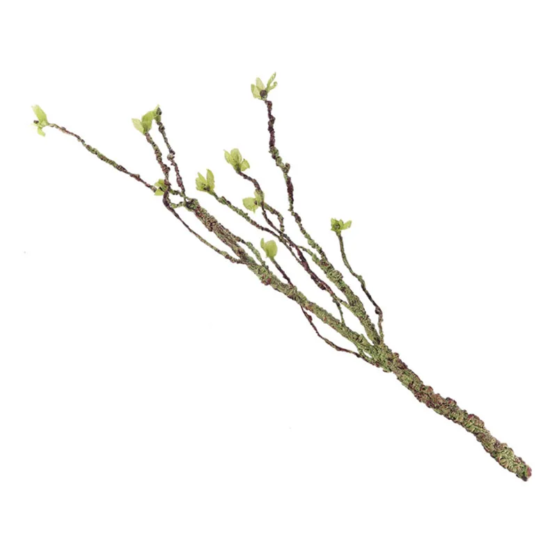 Vines Decor Climbing Branches  - огляд і ціна Aquarium Fish Cichlid