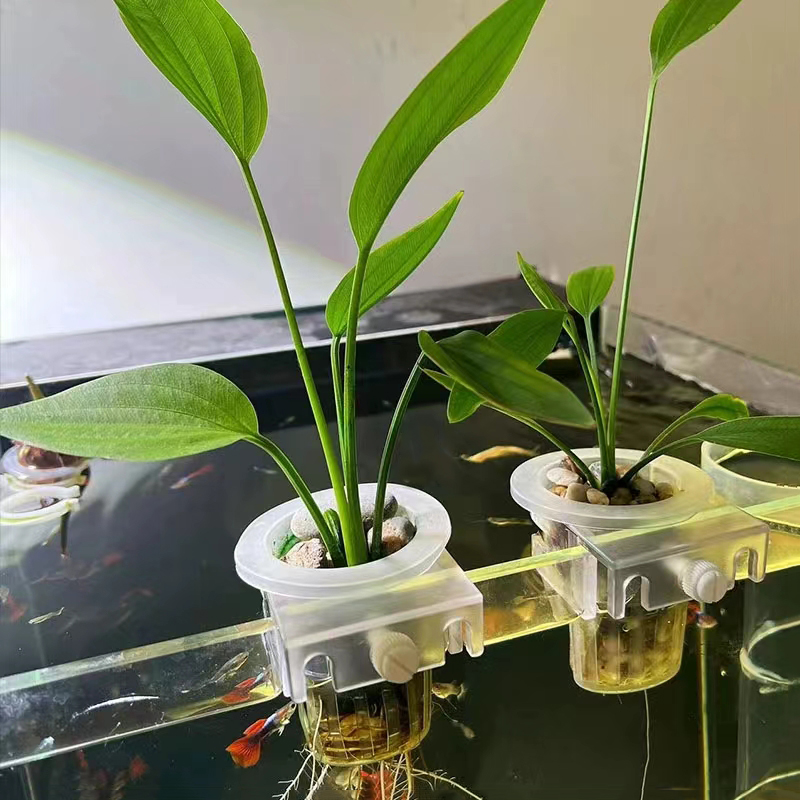 Aquarium Planting Basket Hydro - огляд і ціна Aquarium Fish Pot