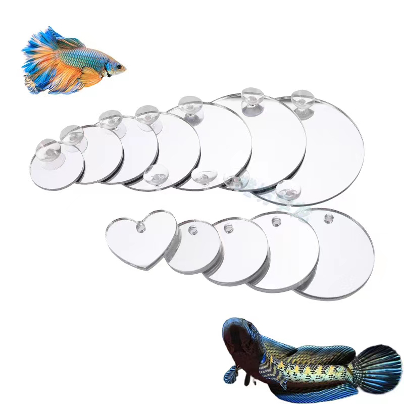 Aquarium Betta Mirror Fish Tan - огляд і ціна Aquarium Fish Cichlid