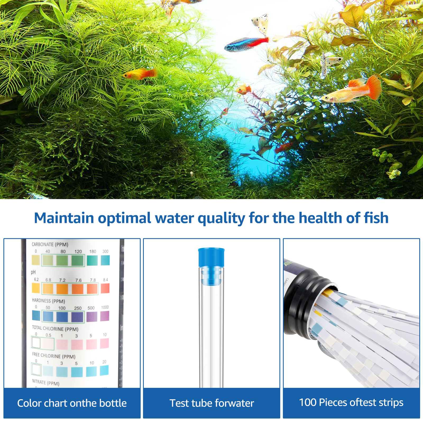 100Pcs 7 in 1 Aquarium Test St - огляд і ціна Aquarium Fish Youtube